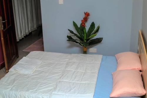 BulengaEQUATOR GATES HOTEL的一间卧室配有带两个枕头和植物的床