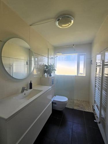 雷克雅未克Apartment near Reykjavik's heart的一间带水槽、卫生间和镜子的浴室