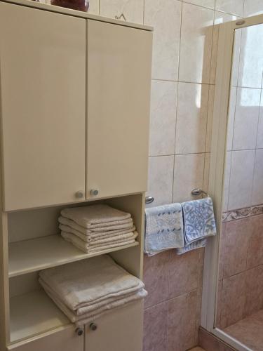 普利格拉迪卡Villa Kety的带淋浴的浴室和带毛巾的橱柜。