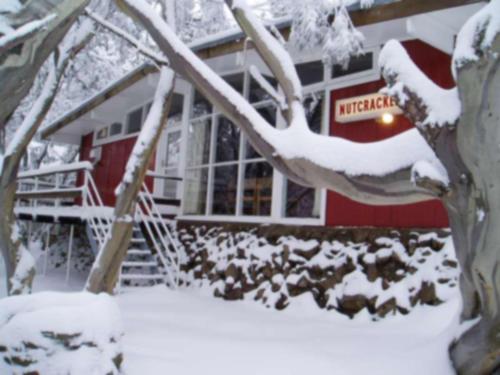 布勒山Nutcracker Ski Club的一群鸟站在一座建筑物前面的雪中