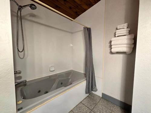 维勒蒙特阿尔卑斯旅馆的带淋浴和毛巾浴缸的浴室
