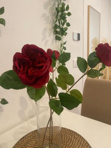 滨海波利尼亚诺Stella Marina Luxury的一张桌子上花瓶里的一个红玫瑰