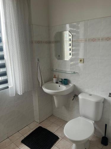 兹诺伊莫Penzion Znojmo的白色的浴室设有卫生间和水槽。