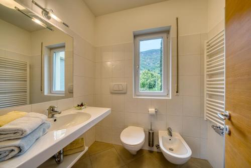 泰尔拉诺Das Landhaus的一间带水槽和卫生间的浴室以及窗户。