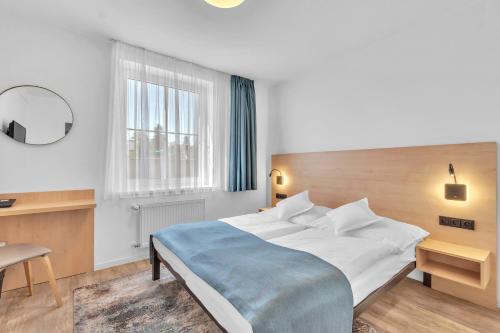 拉贝河畔皇宫镇Hotel Za Vodou的一间卧室配有一张床、一张书桌和一个窗户。