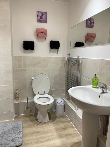 达格纳姆Stanton - Impeccable and stylish 2 bedroom的一间带卫生间和水槽的浴室