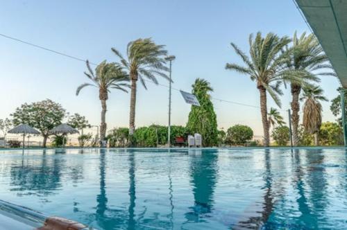 Kaliaכפר נופש קלי"ה ים המלח的一座棕榈树环绕的大型游泳池