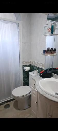 格拉纳达Piso en Estación de buses的浴室配有白色卫生间和盥洗盆。
