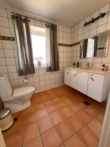 勒兹维Munkgaard Bed & Breakfast的一间带卫生间和水槽的浴室