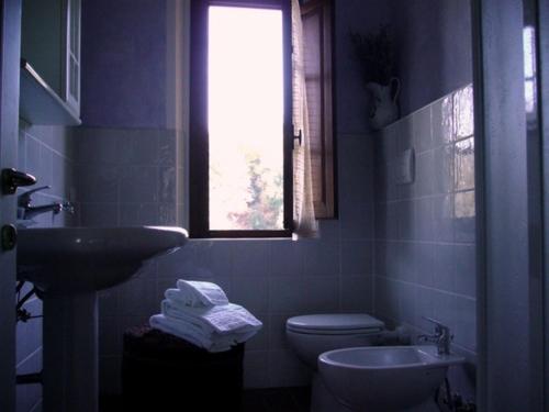 芬奇Agriturismo La Burra di Vinci Appartamento "Casina"的一间带水槽和卫生间的浴室以及窗户。