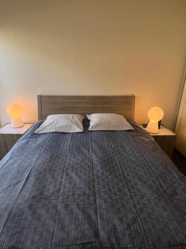 勒阿弗尔Vivez en appartement en centre-ville - Hotel de ville - 1 ch的一间卧室配有一张带两盏灯的床。