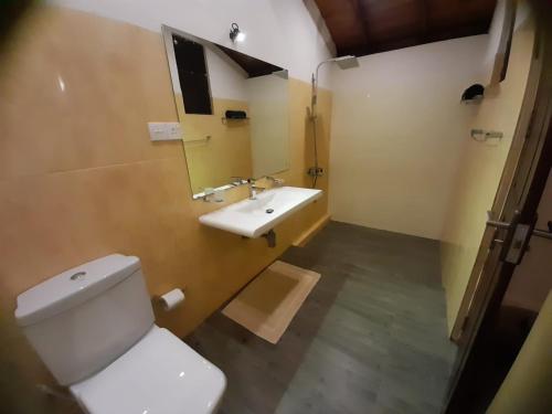 贝鲁沃勒Seetharama Garden of Life的一间带卫生间和水槽的浴室