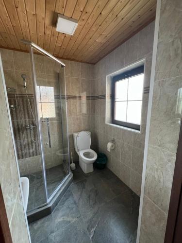 博斯特里Soho Hutor的带淋浴和卫生间的浴室以及窗户。