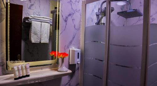 开罗Royal Golden Pyramids Inn的紫色浴室,水槽上放着花瓶