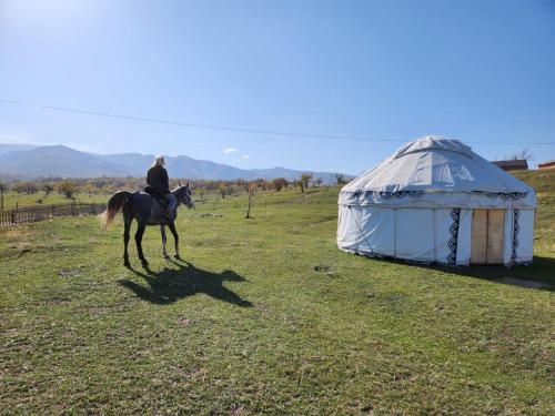 TürgenЮрта 6-канатная的骑马在蒙古包前的人