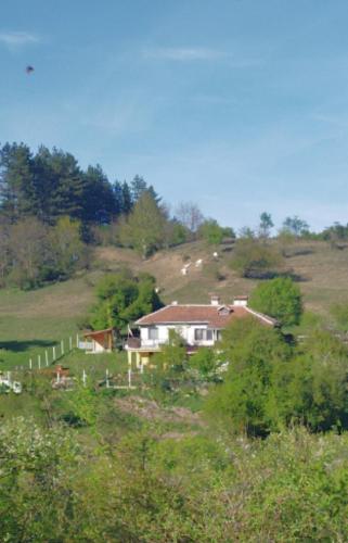 VrabchaСтаи за гости Шейтанови的山顶上的房子