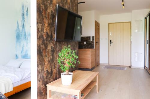 克拉科夫Strumienna Apartament的客厅设有床铺和墙上的电视