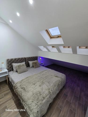 Novi BeogradIDILA SPA的一间卧室设有一张床,天花板设有窗户