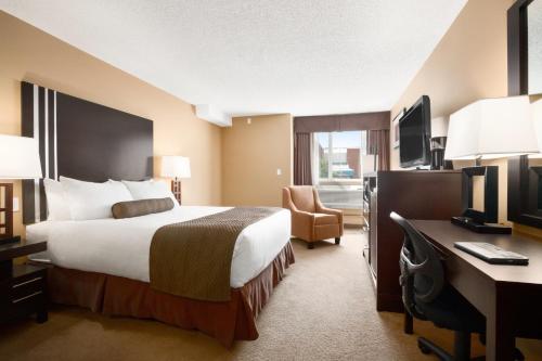 卡尔加里卡尔加里西北戴斯酒店的配有一张床和一张书桌的酒店客房