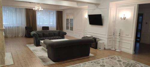 博罗沃耶Goluboy Zaliv的带沙发和电视的客厅