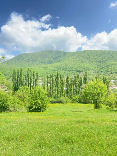 沙马基Şamaxı Cennetbagı Evi的一片树木和山地的田野