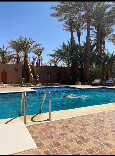 扎古拉Zagora Oasis Lodge的在棕榈树游泳池游泳的人