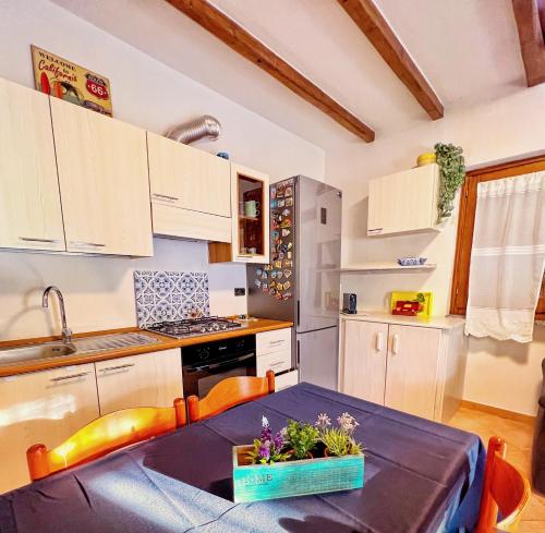 圣玛丽亚纳瓦雷Casa L ulivo的厨房配有一张带蓝桌布的桌子