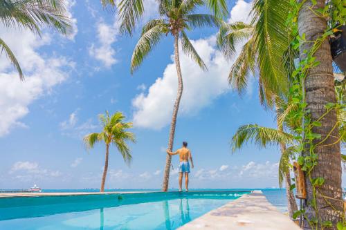 女人岛Mayan Monkey Isla Mujeres的站在游泳池旁的棕榈树上的人