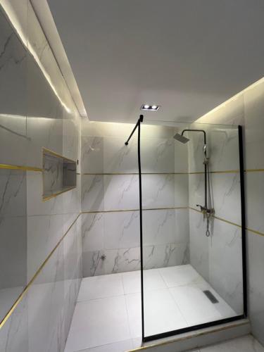 阿布贾Austra Villa Maitama Abuja的浴室里设有玻璃门淋浴