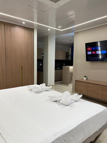 新洛哈Hotel Amazonas Suite, Suite Presidencial的一间配有电视的客房内的一张大白色床
