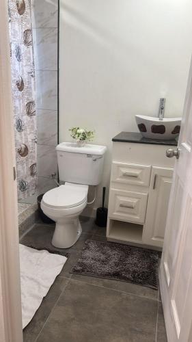 乔治敦Lemmyalplace的浴室配有白色卫生间和盥洗盆。