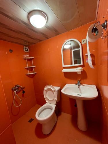 科布列季Emilis Vacation Home的橙色浴室设有卫生间和水槽