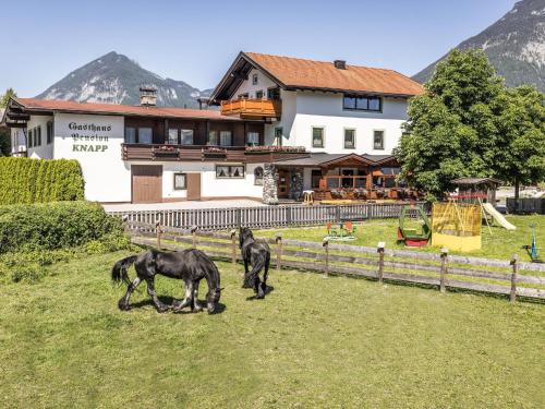 齐勒谷地施特拉斯Apartment in Strass im Zillertal in a beautiful setting的两匹马在房子前面的田野上放牧