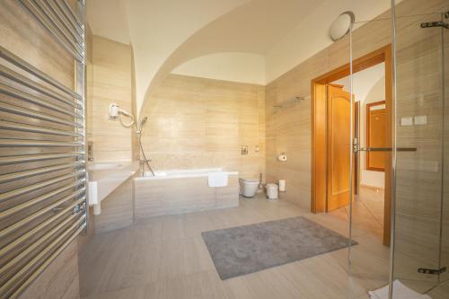 布尔诺贝尔克莱迪酒店的带浴缸、水槽和淋浴的浴室