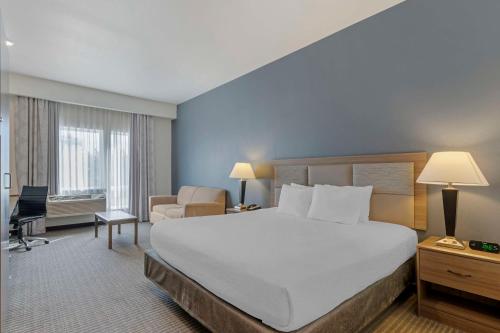 楠帕南帕市政中心胡椒树贝斯特韦斯特优质酒店的酒店客房设有一张大床和一张书桌。