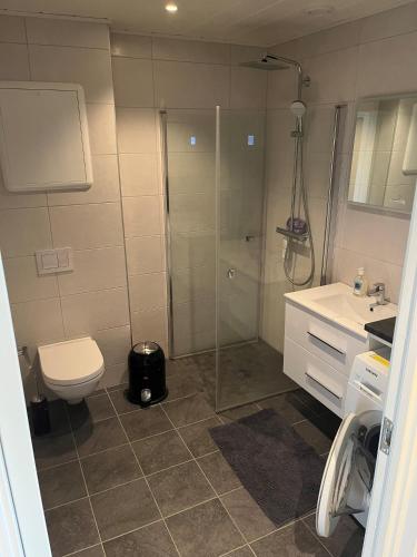 史特林New Apartment 2 bedroms的带淋浴、卫生间和盥洗盆的浴室