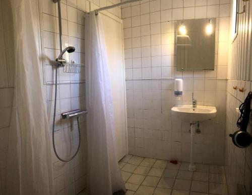 EriksmålaEriksmåla Art Residence的带淋浴和盥洗盆的浴室