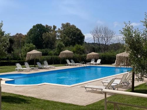圣斯特凡诺斯Mythos apts rentit的毗邻度假酒店的带躺椅和躺椅的游泳池