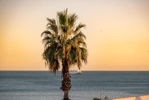 马拉加拉斯维加斯苏豪精品酒店的海滩上的棕榈树与游轮
