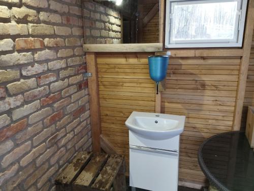MaišiagalaMini sodyba的砖墙内带水槽的浴室