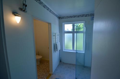 达拉胡斯比Husby Wärdshus的带淋浴和卫生间的浴室以及窗户。