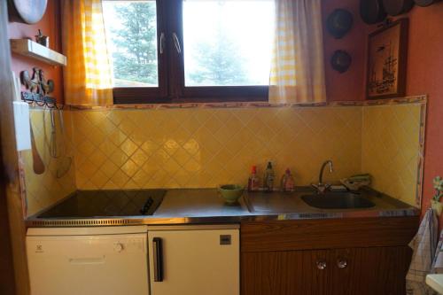 奥尔西埃Résidence Horizon I - Pièces 954的一个带水槽和窗户的小厨房