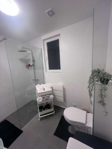 瑟兰La Suite Liege的白色的浴室设有卫生间和淋浴。