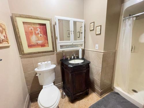 尼亚加拉瀑布THE RED STAR ROOM A的一间带卫生间和水槽的浴室