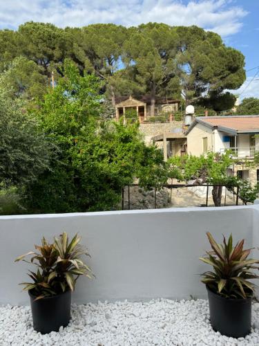 利马索尔Pirella House的两株盆栽植物,坐在白色围栏上