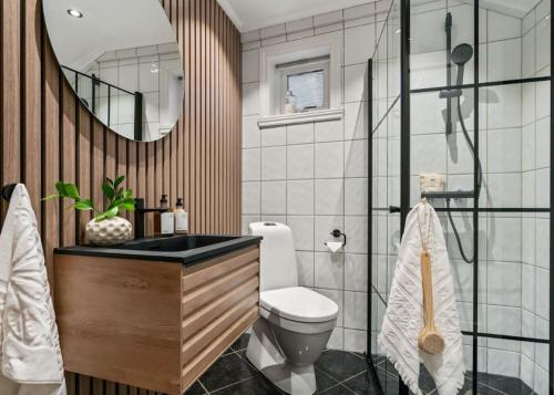 卑尔根Charming Town House in Centrum的一间带卫生间、水槽和镜子的浴室