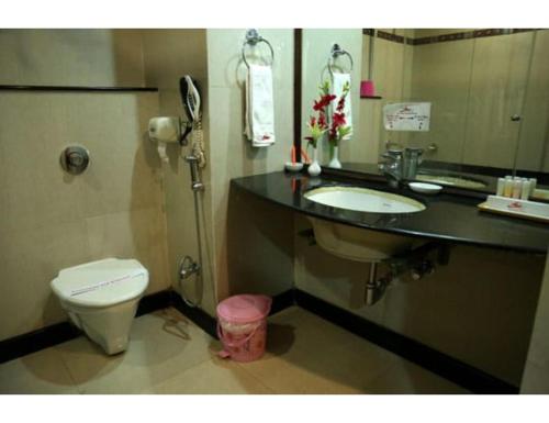 RaigarhHotel Ans International, Raigarh,的一间带卫生间、水槽和镜子的浴室