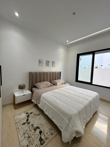 突尼斯joli appartement a jardin de Carthage的一间卧室设有一张大床和一个窗户。