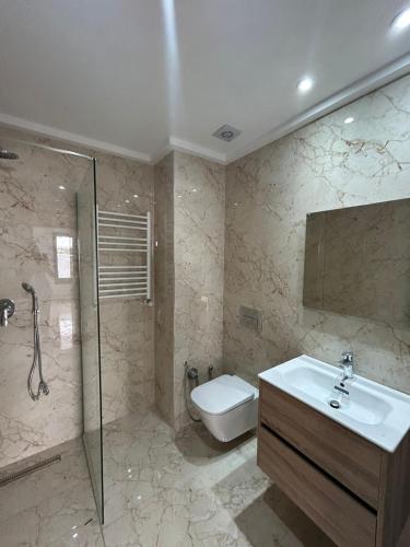 突尼斯joli appartement a jardin de Carthage的浴室配有卫生间、盥洗盆和淋浴。