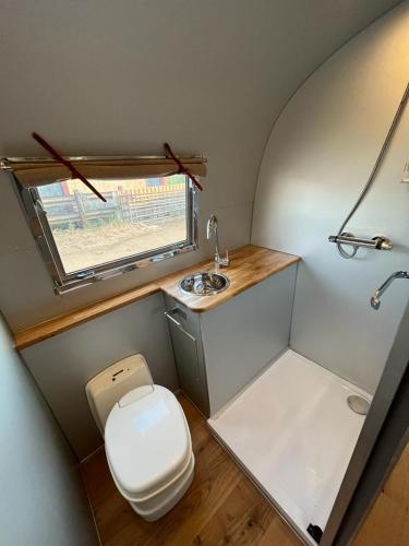 GildingwellsThe Silver Spirit的一间带卫生间和水槽的小浴室